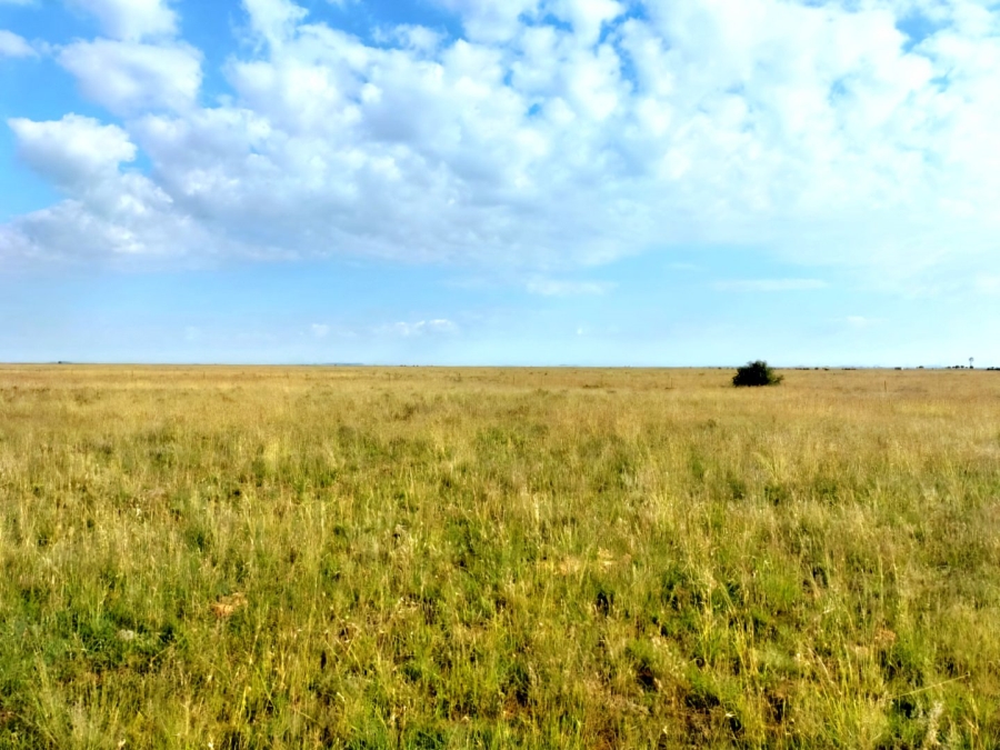 3 Bedroom Property for Sale in Bloemfontein Rural Free State
